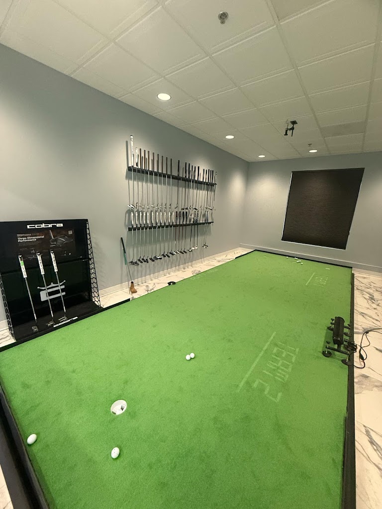 Swing Lab Performance Golf - review