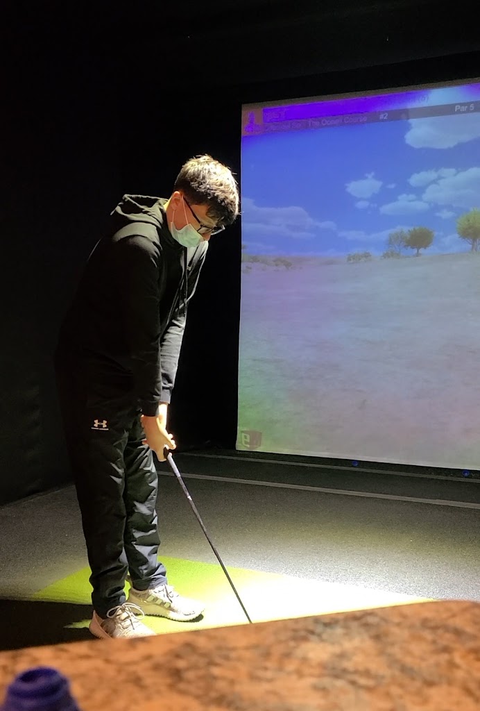 AVID Indoor Golf - review