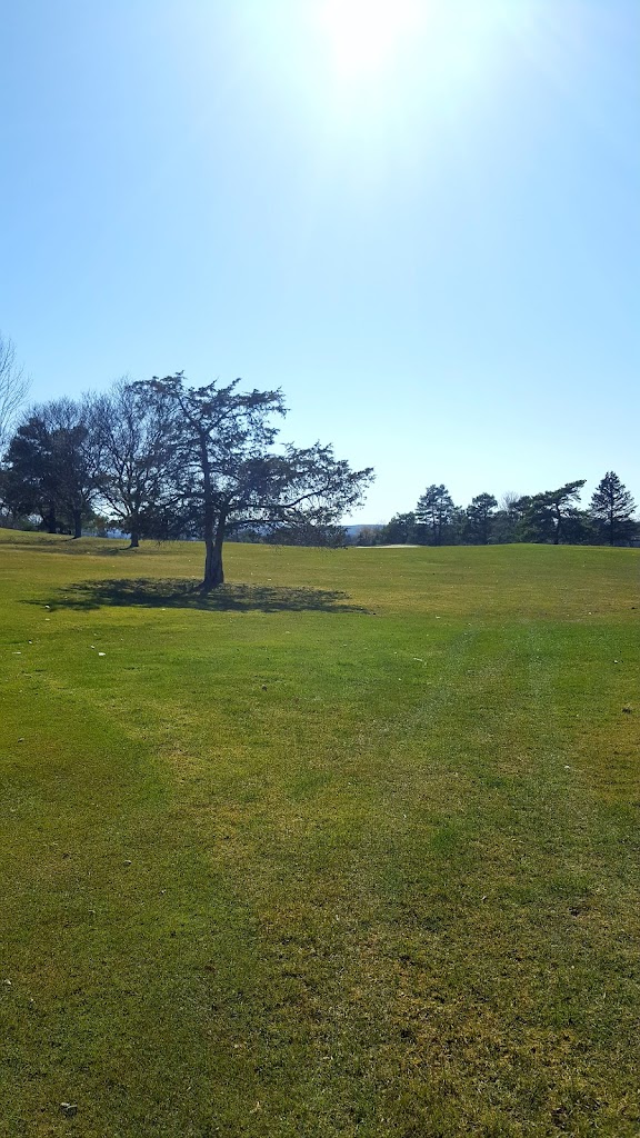 RaNic Golf Club - review