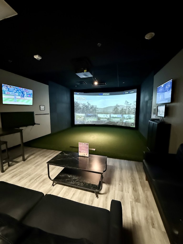 iSwing Indoor Golf - review