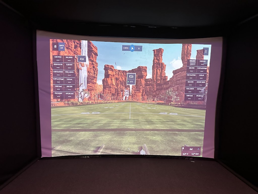 Birdie Club - review