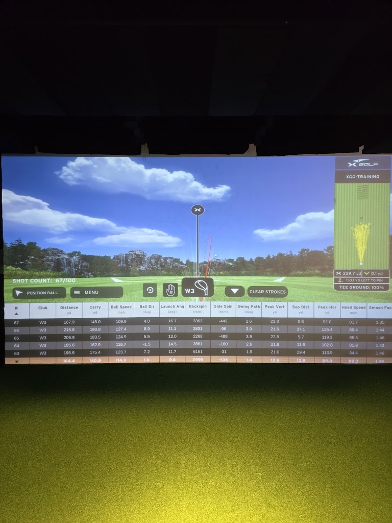 X-Golf Columbus - review