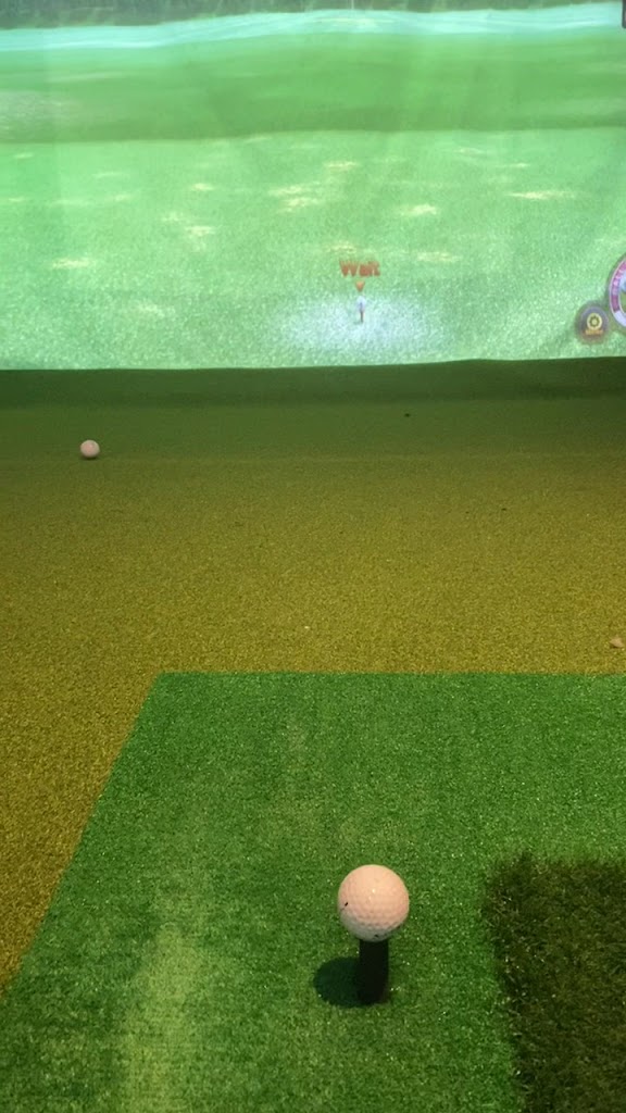 TARGET Indoor Golf - review