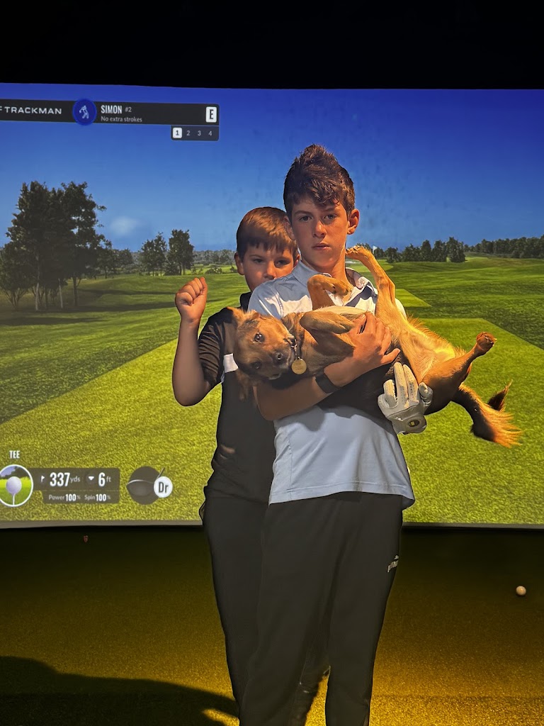 PB Virtual Golf - review