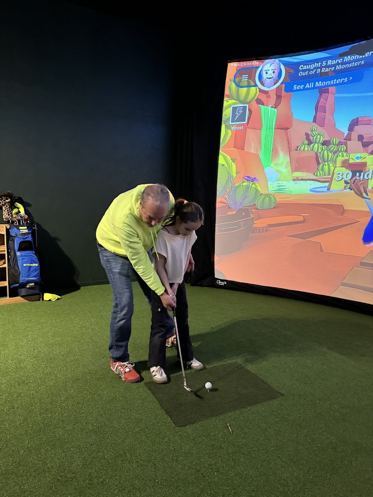 The Virtual Golf Club - review
