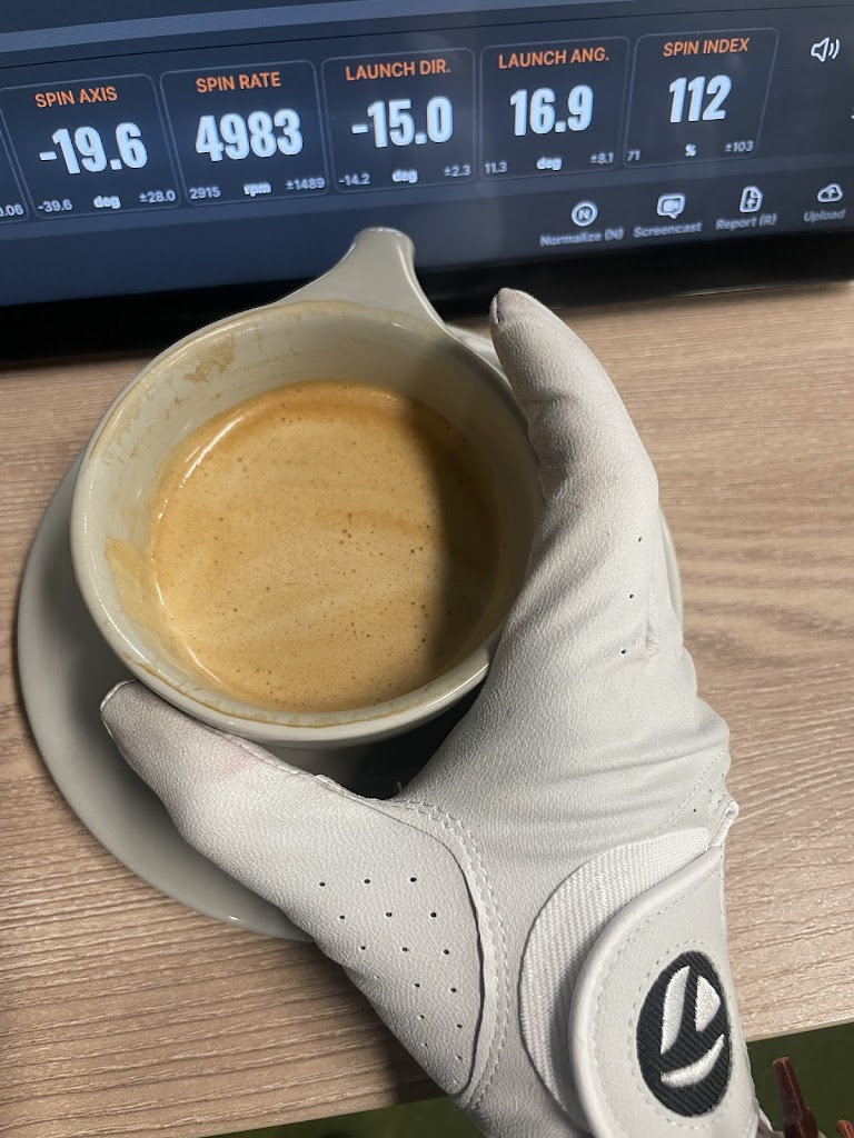 Birdie Golf Studios - review