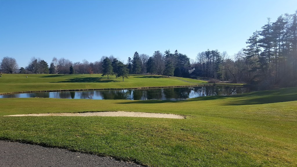 RaNic Golf Club - review
